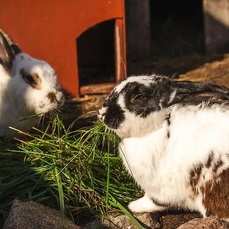 Vaesteraeng Glamping Οργανωμένο κάμπινγκ