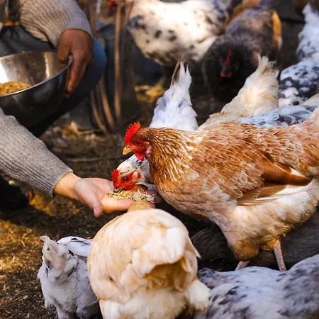 Vaesteraeng Glamping Роскошный шатер