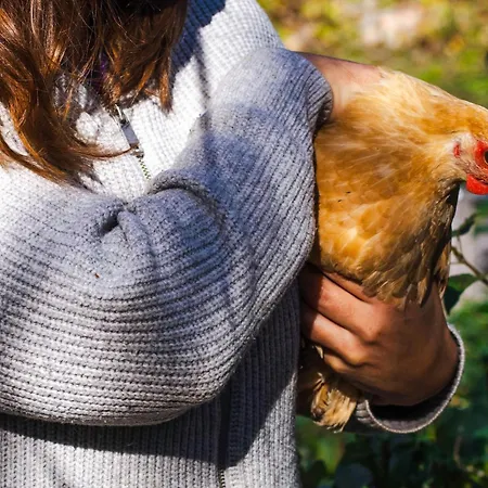 Vaesteraeng Glamping Luksustelt Lillandet