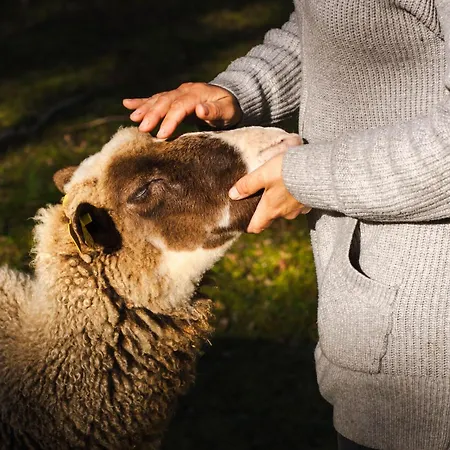 Роскошный шатер Vaesteraeng Glamping Lillandet