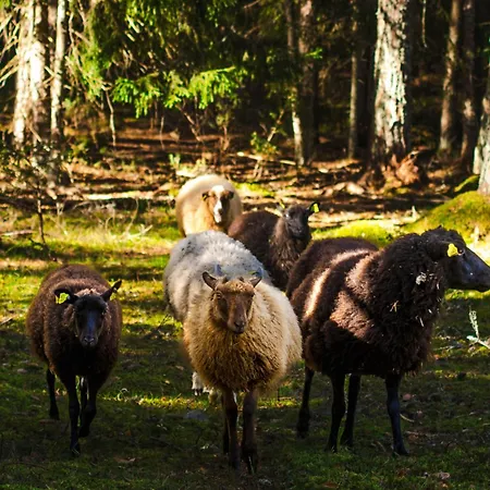 Vaesteraeng Glamping *