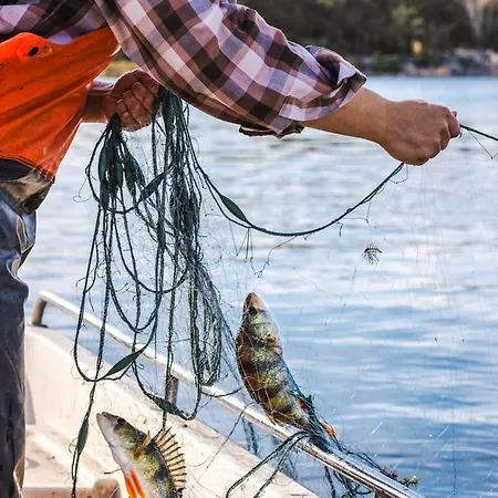 Vaesteraeng Glamping