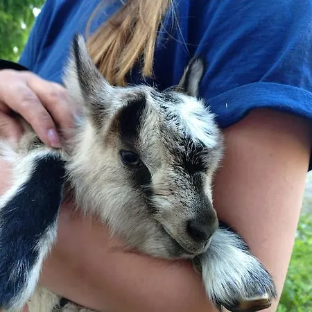 Vaesteraeng Glamping