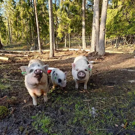 Vaesteraeng Glamping Luksustelt Lillandet